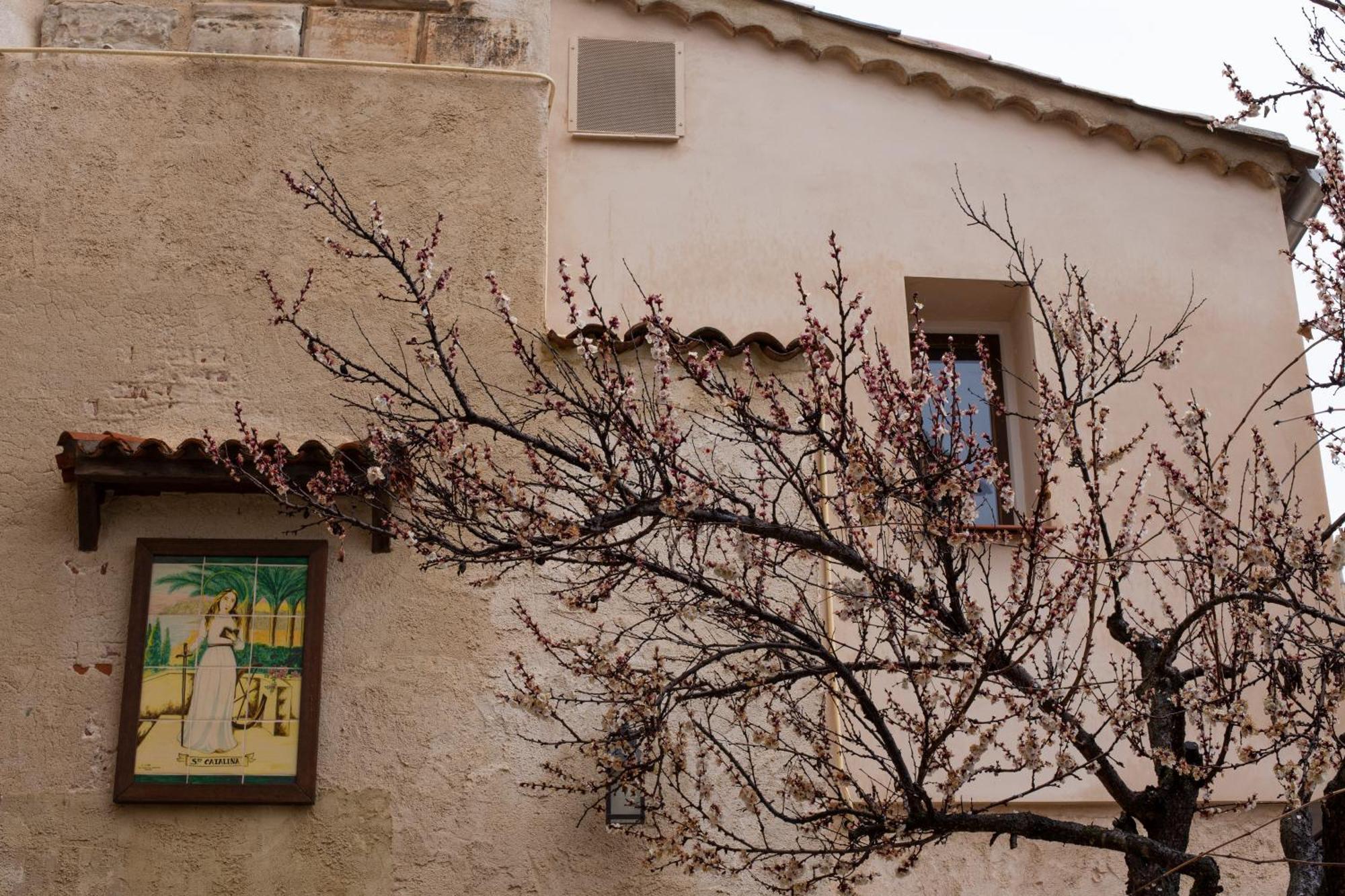 Huerto De Mateo Arana Vila Cuenca  Exterior foto